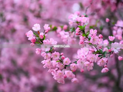 思念情人的心里话：想你念你，一生痴迷不变