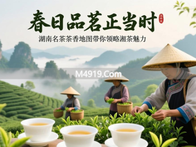 春日品茗正当时，湖南名茶茶香地图带你领略湘茶魅力