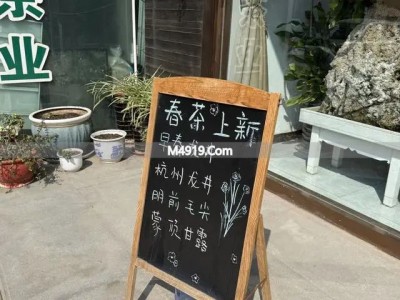 春茶降价了！百元一斤就能买到