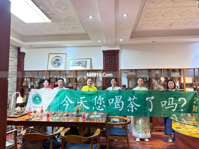 南阳国际茶日全民饮茶盛典启动 四大征集通道开启
