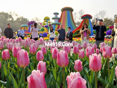 2026长沙春季花卉艺术季，七彩花海引市民游客打卡