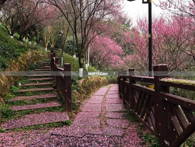 一辈子只爱你一人！漫漫红尘路，满心都是对你的想念