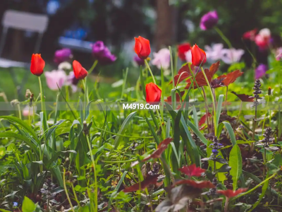 我是真的爱你，好想和你牵手一辈子