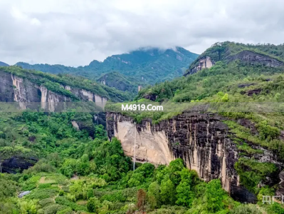福建开年民营经济座谈会传递信号，茶企盼转化硬核动力