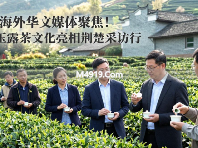 26日海外华文媒体聚焦！恩施玉露茶文化亮相荆楚采访行
