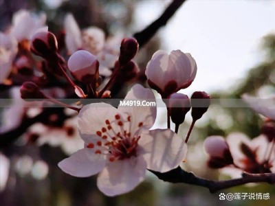 女人想分手了？这3个征兆很明显