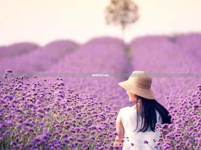 亲爱的，我又想你了！爱你在心，牵挂到老，此生不渝