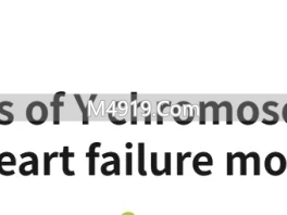 男性衰老Y染色体悄悄消失，竟成致命隐形杀手？