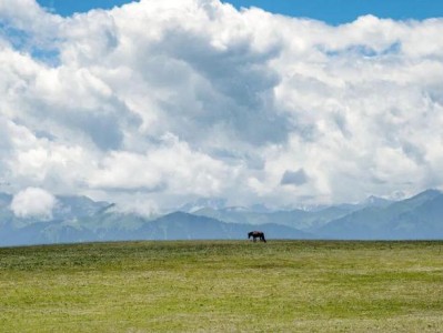 学生能量低怎么办？不是懒是累，教你快速恢复精力的方法