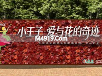 3.6-6.8上海奇迹花园，小王子主题花期，万株花卉绽放