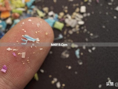 微塑料2小时就能入脑？家里这5样东西快检查