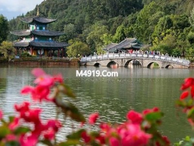 丽江春天怎么玩？喝茶赏花买竹篮，本地人这样过