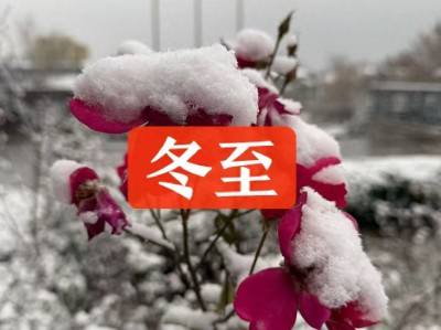 冬至时节少吃羊肉豆腐，多吃这3样养阳御寒好过冬