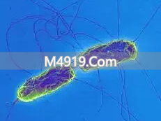 衰老从‘力不从心’始，细胞‘清垃圾’能力关乎健康