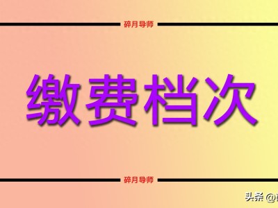 养老金计算揭秘：为什么不是每5年工龄涨一档？怎样算更划算