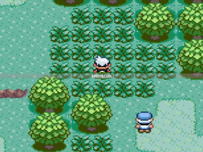 盲人玩家卢毅：玩主流游戏通关宝可梦黑白，却怕无双类游戏