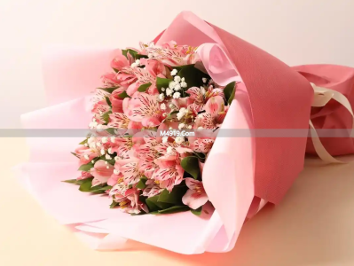 最美情书：致今生最爱，愿携手走过冬秋春夏，爱你一生