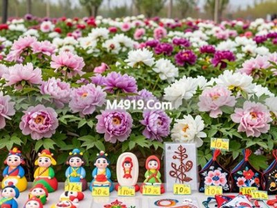 银川牡丹花海盛放，五一近郊赏花游玩好去处