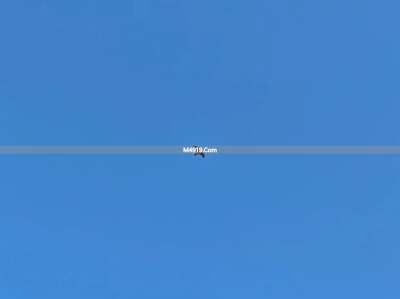 风尘女子的情感纠葛：欲望、迷茫与在喧嚣中寻找自我