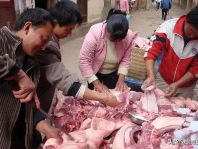 农村杀年猪为何被举报？传统习俗与环保规定冲突，农民该怎么办？