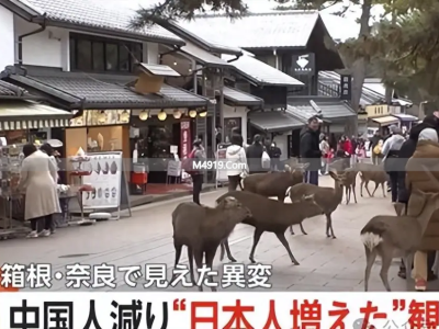 高市早苗涉台言论致中方关切，中国游客减少影响日本多地