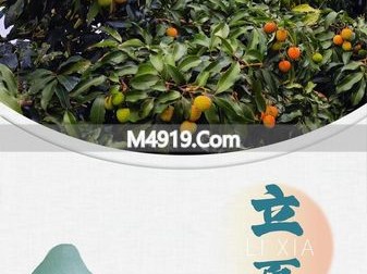 立夏时节岭南荔熟，5月5日将迎来夏天首个节气