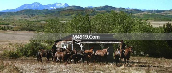 伊斯特伍德最新电影_伊斯特伍德豆瓣_