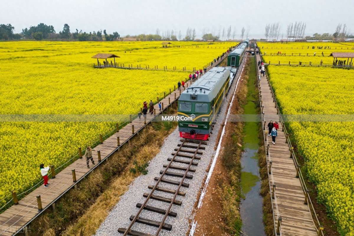 外国人来中国旅游，认知反差大，惊叹中国已强大到超乎想象