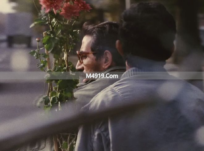 _伊朗哈梅内伊是谁_伊朗的哈梅内是什么人物