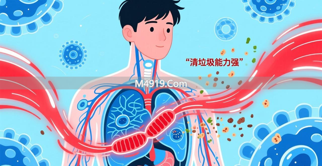 衰老从‘力不从心’始，细胞‘清垃圾’能力关乎健康