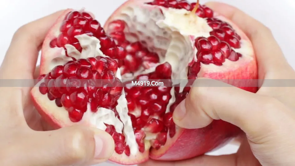 _复旦大学重磅综述：30岁后“提不起劲”的累感，是线粒体自噬受阻造成的，三个方案可解_复旦大学重磅综述：30岁后“提不起劲”的累感，是线粒体自噬受阻造成的，三个方案可解