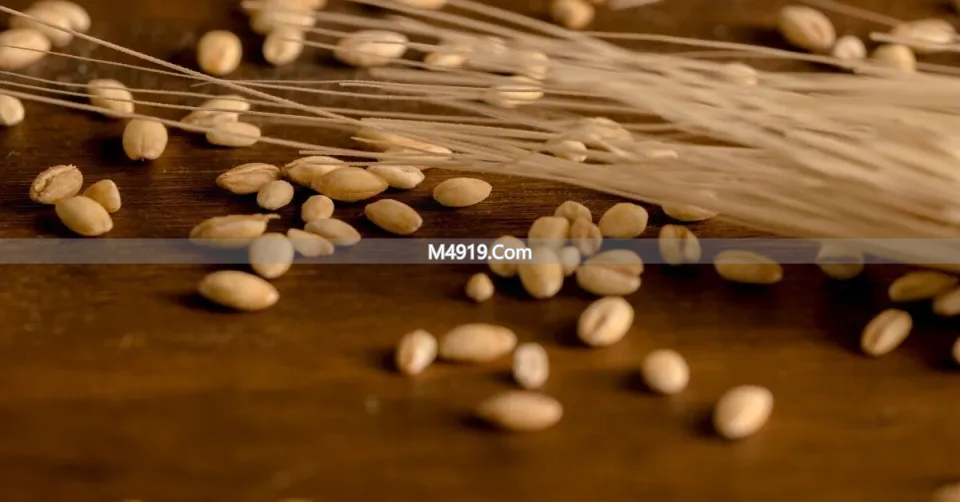 复旦大学重磅综述：30岁后“提不起劲”的累感，是线粒体自噬受阻造成的，三个方案可解_复旦大学重磅综述：30岁后“提不起劲”的累感，是线粒体自噬受阻造成的，三个方案可解_