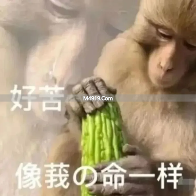 女主播暖妹被指带娃圈钱，回应称孩子是别人的