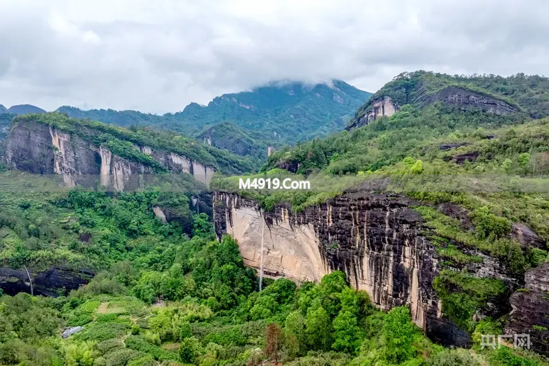 福建开年民营经济座谈会传递信号，茶企盼转化硬核动力