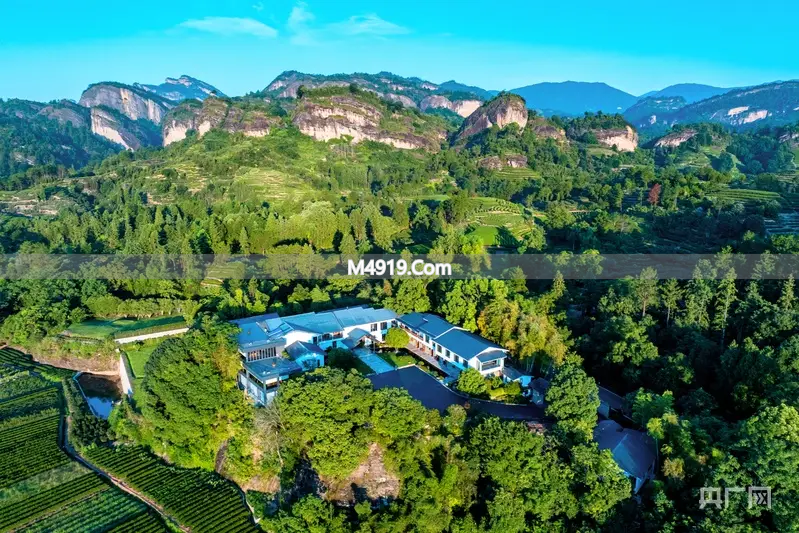 福建开年民营经济座谈会传递信号，茶企盼转化硬核动力