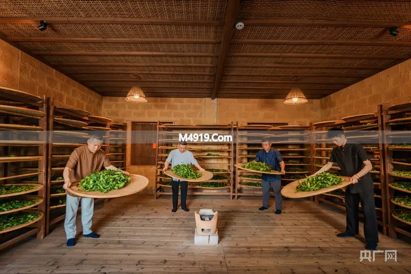 福建开年民营经济座谈会传递信号，茶企盼转化硬核动力