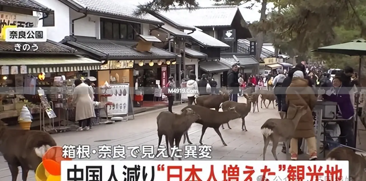 高市早苗涉台言论致中方关切，中国游客减少影响日本多地