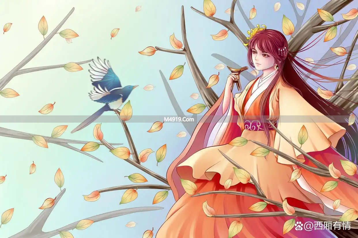 _中年女人性心理_中年女性对性的态度