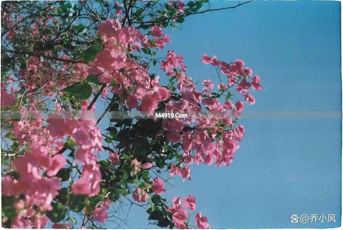 男人聊天时认真回你问题，心里有你，爱上你才会这样