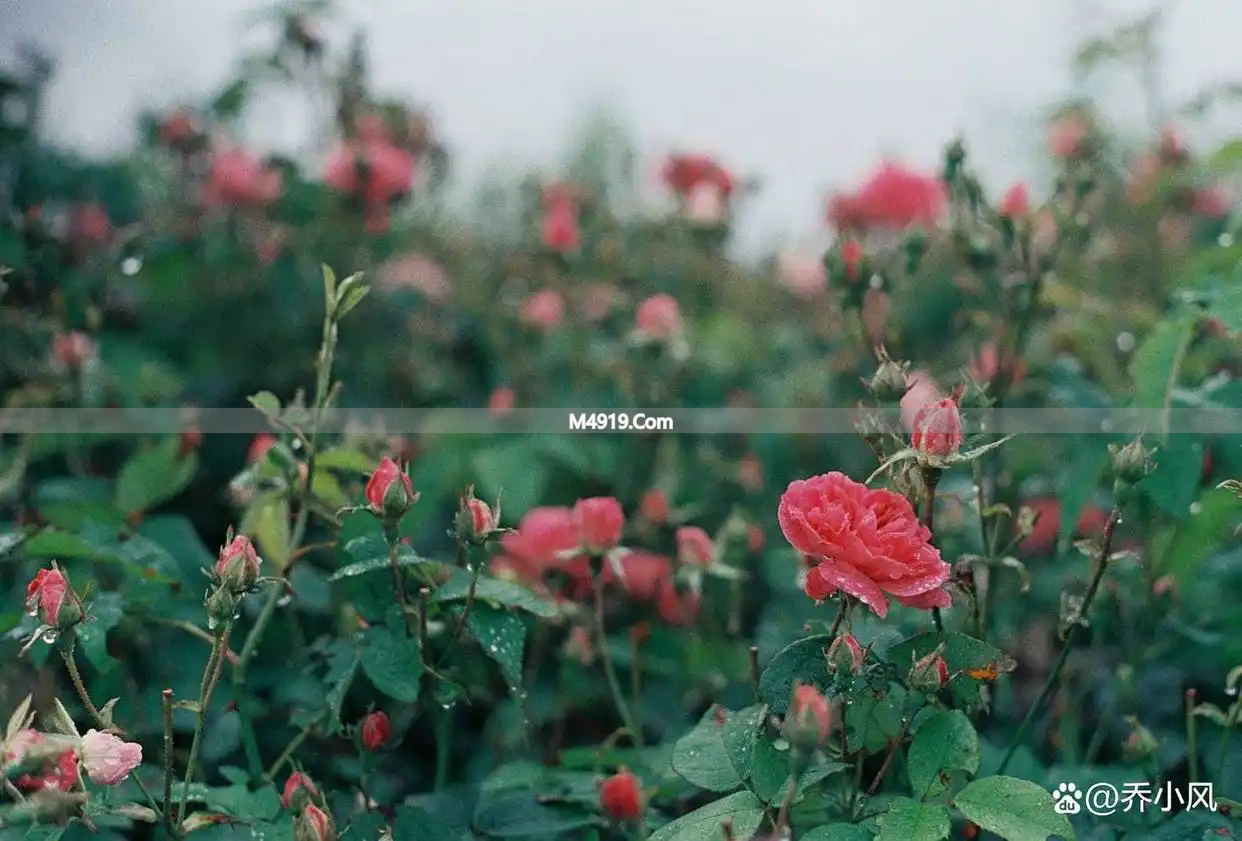 男人聊天时认真回你问题，心里有你，爱上你才会这样