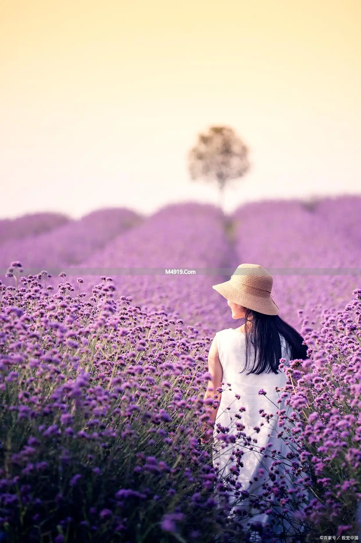 亲爱的，我又想你了！爱你在心，牵挂到老，此生不渝