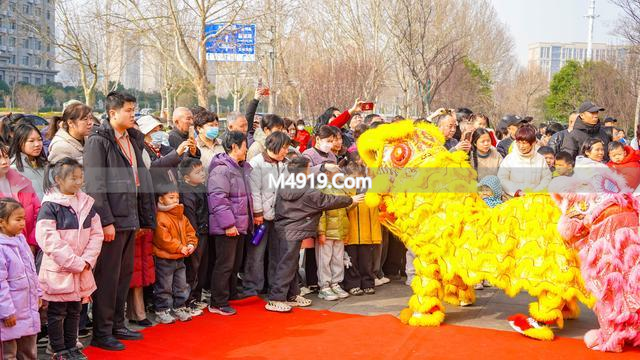 2026黄河边民俗文化节启幕，惠济区上演多彩民俗盛宴