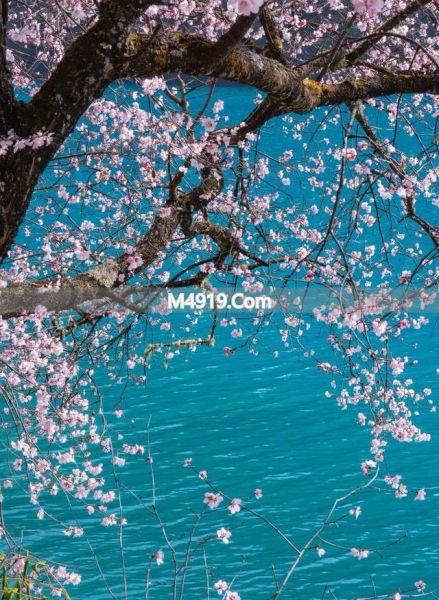 四川春假亲子游火了 沉浸式演艺小镇成新热点