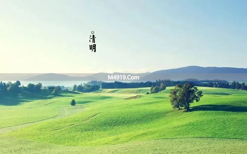 清明感悟：珍惜眼前生活，别辜负大好春光