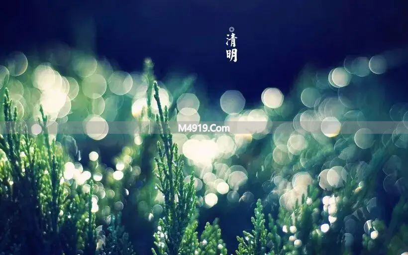 清明感悟：珍惜眼前生活，别辜负大好春光