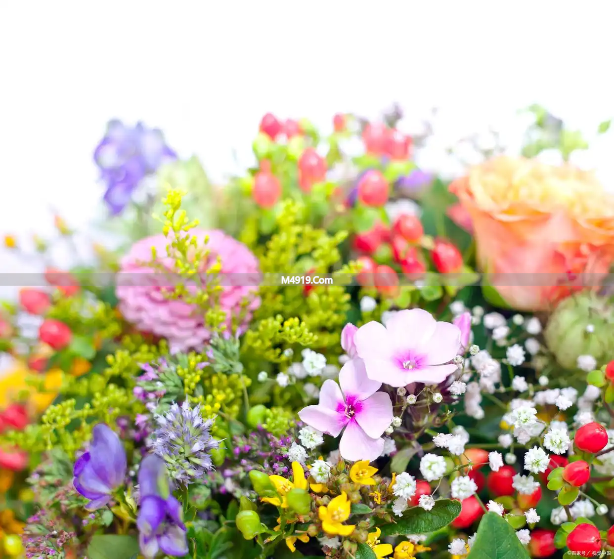 最美情书：致今生最爱，愿携手走过冬秋春夏，爱你一生