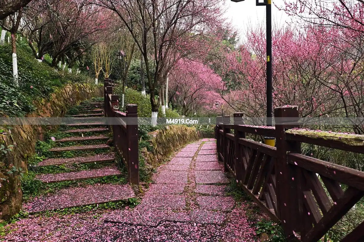 一辈子只爱你一人！漫漫红尘路，满心都是对你的想念