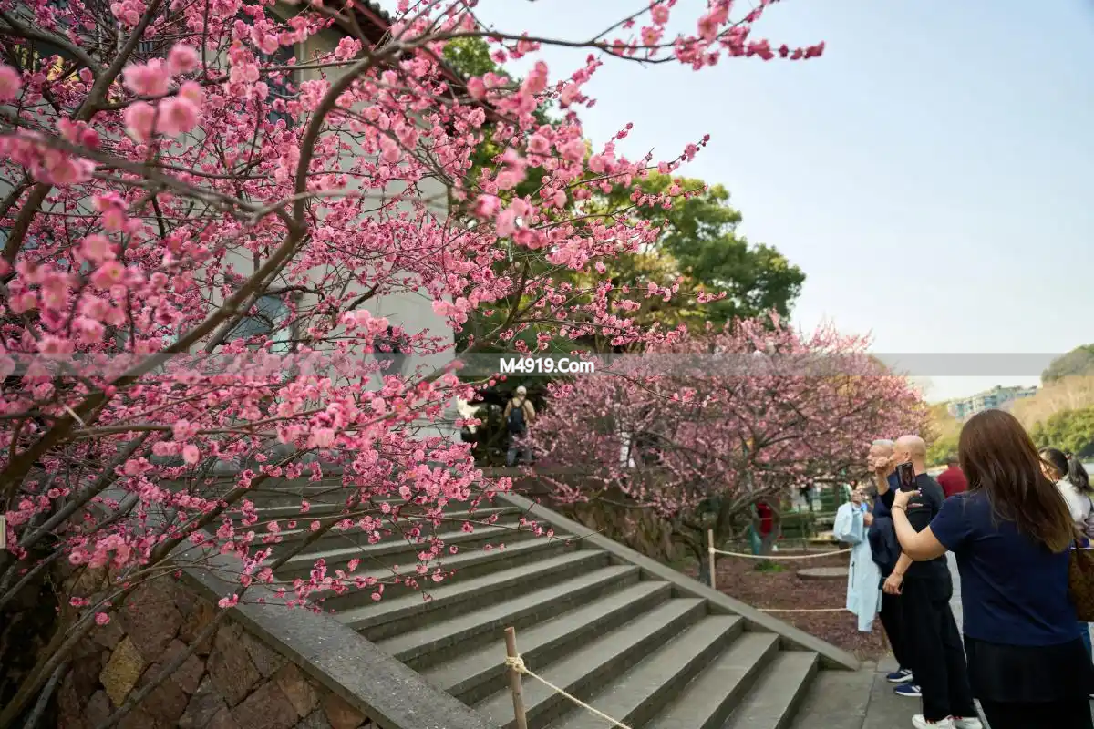 一辈子只爱你一人！漫漫红尘路，满心都是对你的想念