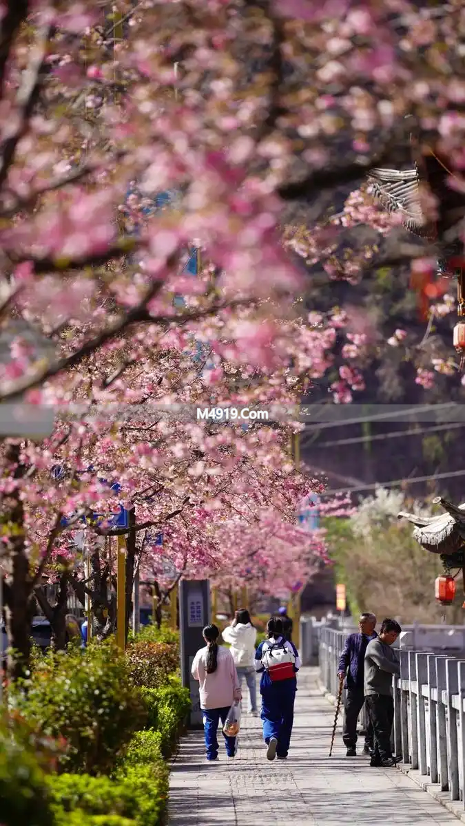 一辈子只爱你一人！漫漫红尘路，满心都是对你的想念