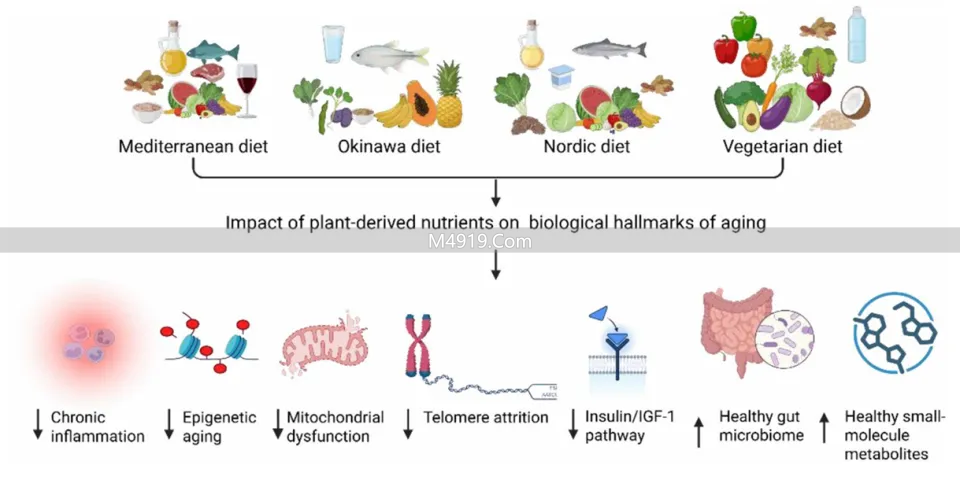 揭秘全球‘长寿之乡’饮食奥秘，告诉你百岁老人都吃啥